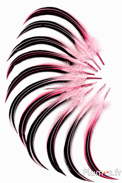 Anatra Mandarin - 15-20 cm - rosa
